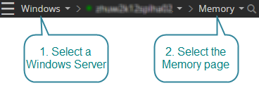 Open the memory drilldown for a Windows Server connection